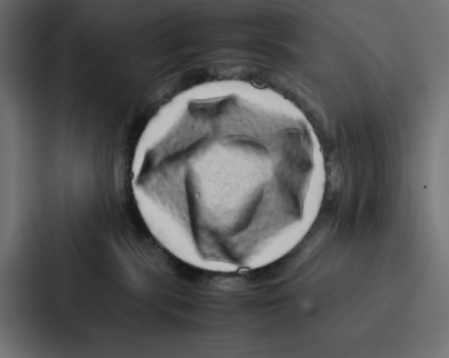 X0000087060283200705161018