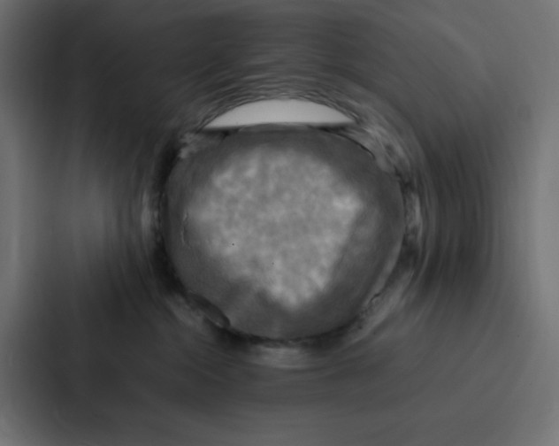 X0000087060284200705161018