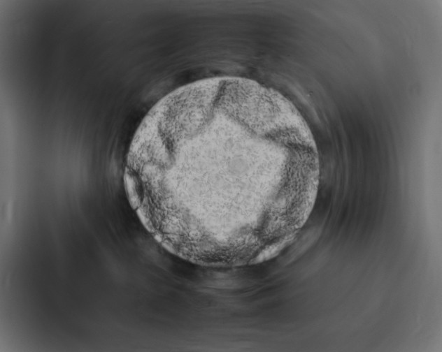 X0000087060285200705161018