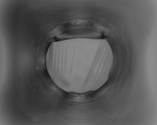 X0000087060288200705161018