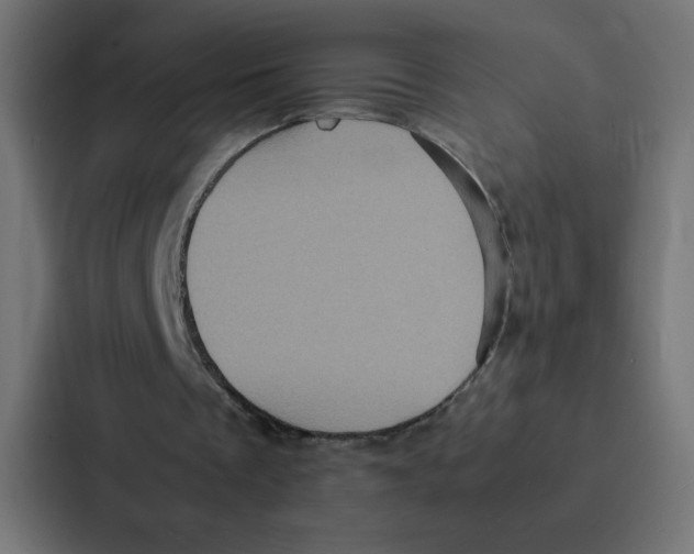 X0000087060289200705161018