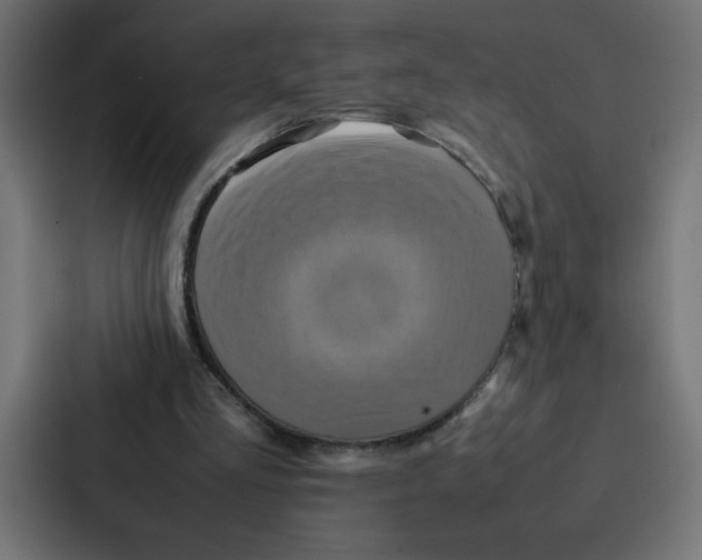 X0000087060293200705161017