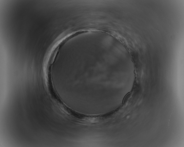 X0000087060295200705161017