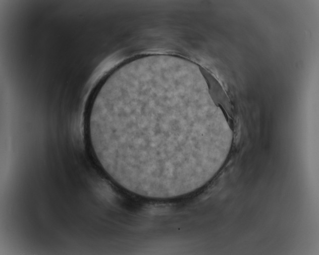 X0000087060296200705161017