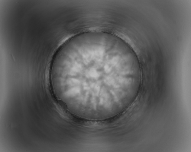 X0000087060297200705161017