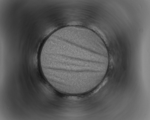 X0000087060298200705161017