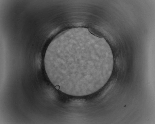 X0000087060304200705161017