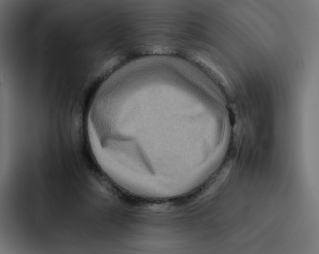 X0000087060306200705161017