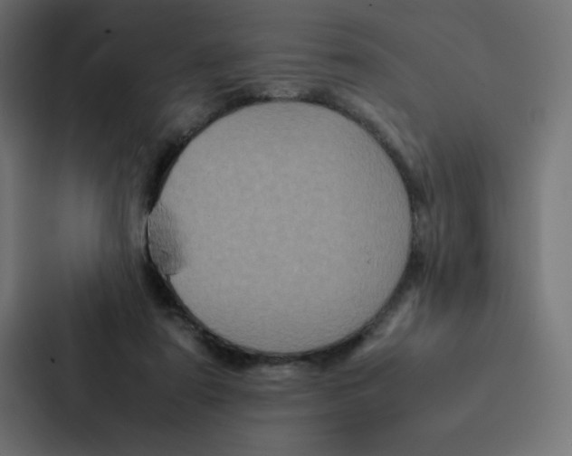 X0000087060307200705161017