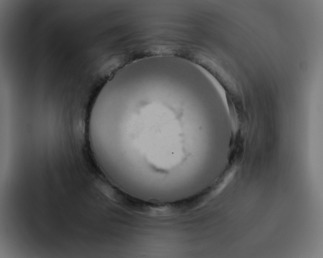 X0000087060309200705161017