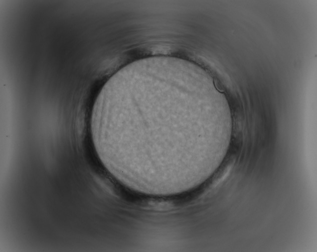 X0000087060311200705161017