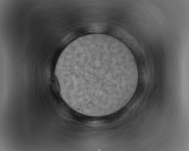 X0000087060312200705161017