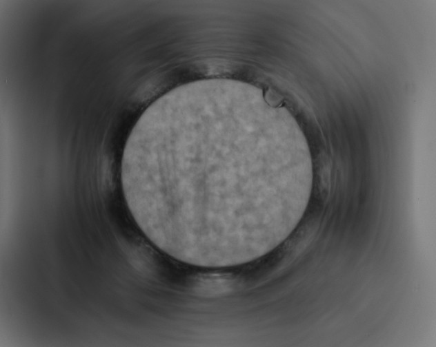 X0000087060316200705161017