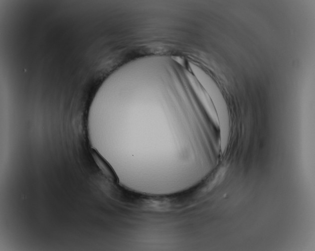 X0000087060317200705161017