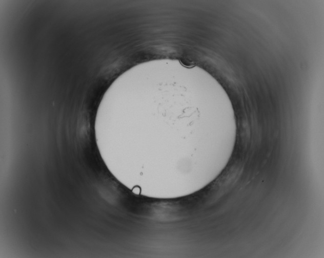 X0000087060320200705161017