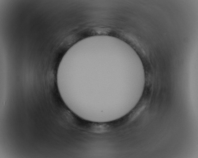 X0000087060321200705161017