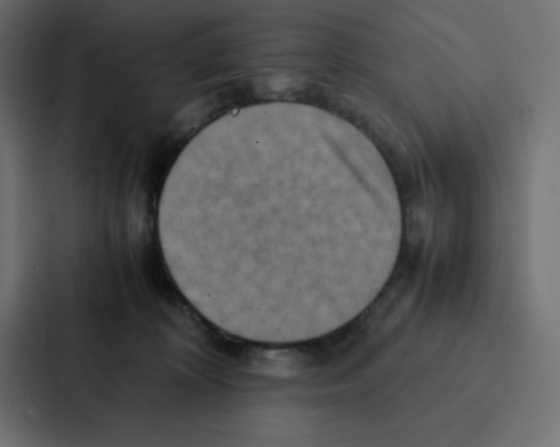 X0000087060324200705161017