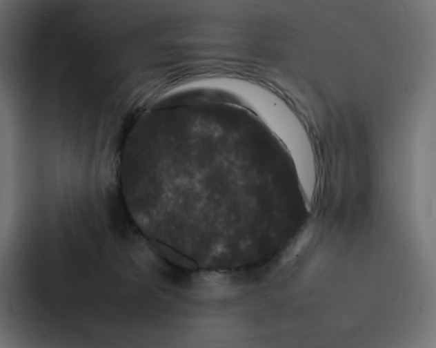 X0000087060325200705161017