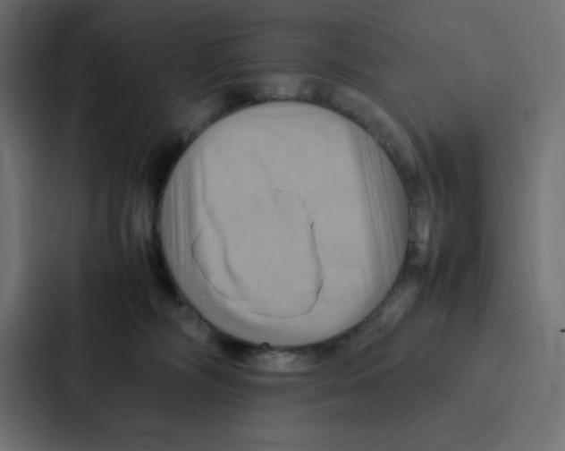 X0000087060326200705161017