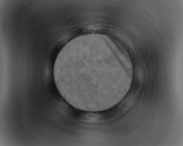 X0000087060328200705161017