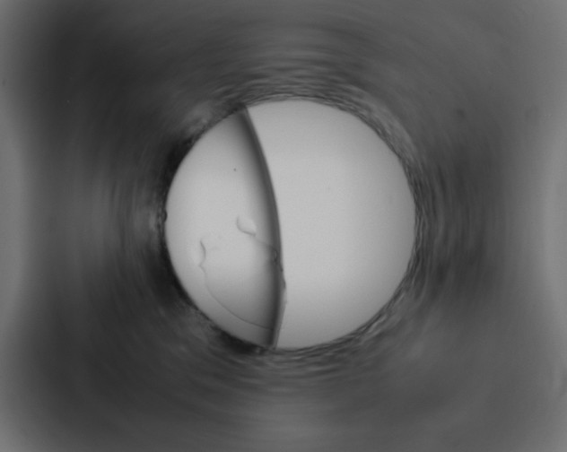 X0000087060329200705161017