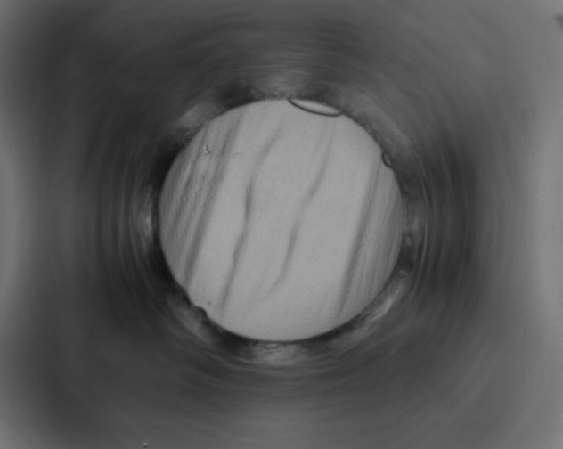 X0000087060334200705161017