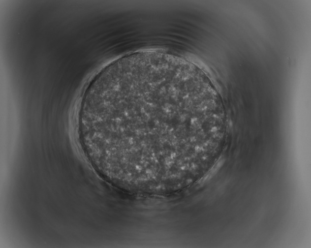 X0000087060337200705161016