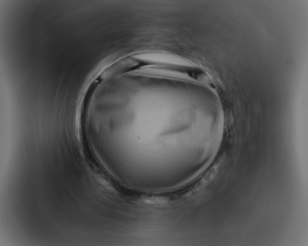 X0000087060340200705161016