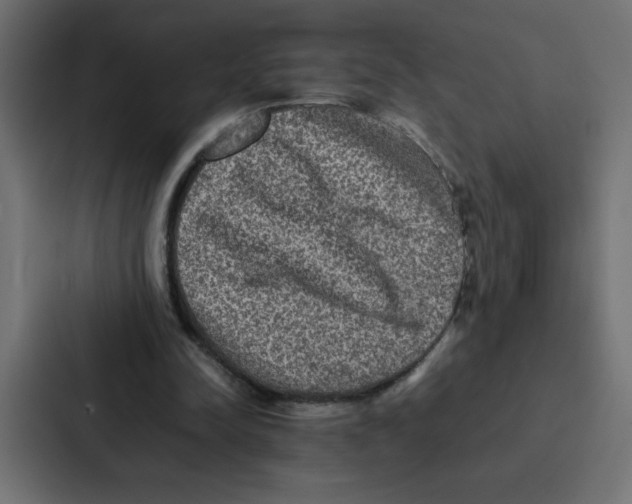 X0000087060342200705161016