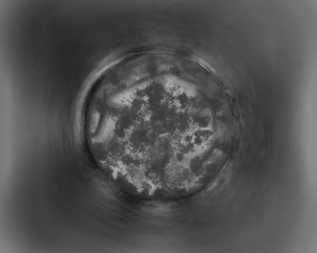 X0000087060343200705161016