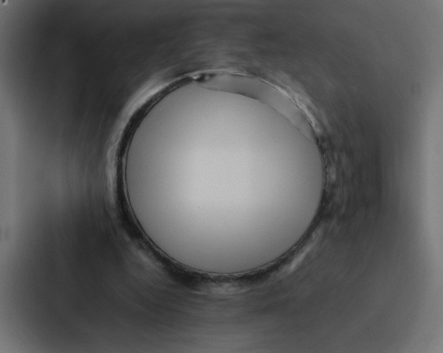 X0000087060344200705161016