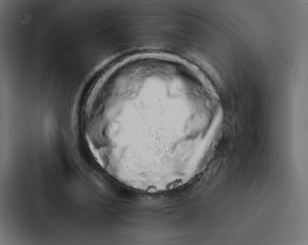 X0000087060346200705161016