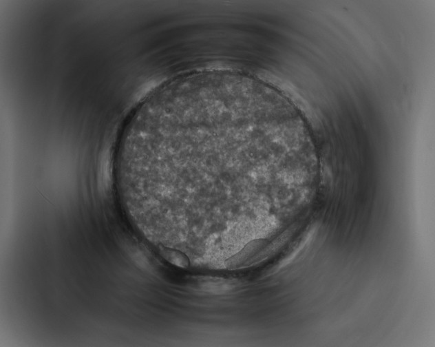 X0000087060347200705161016