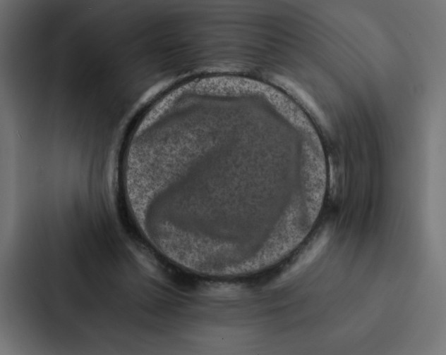 X0000087060348200705161016