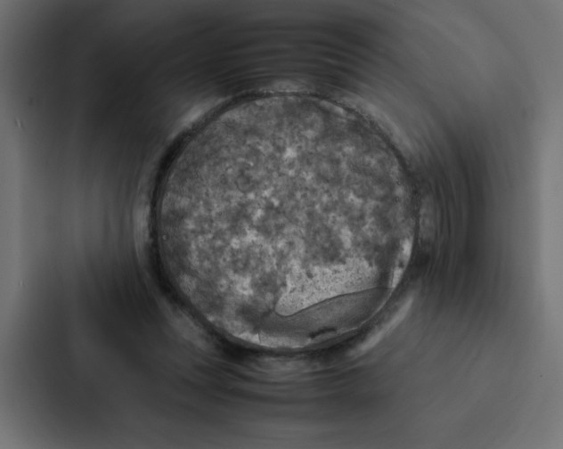 X0000087060351200705161016