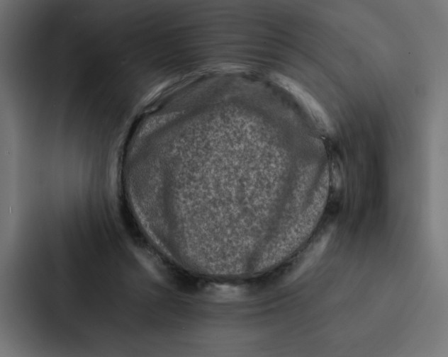 X0000087060352200705161017