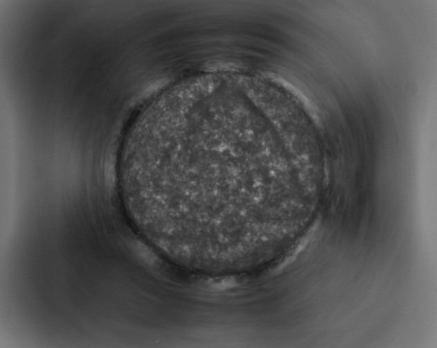 X0000087060353200705161017