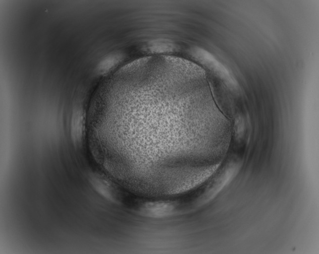 X0000087060356200705161017