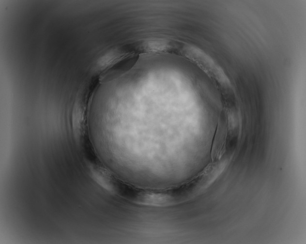 X0000087060360200705161017