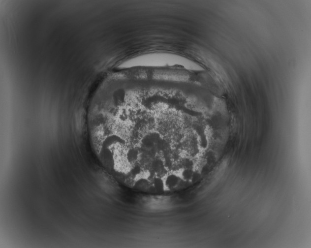 X0000087060361200705161017