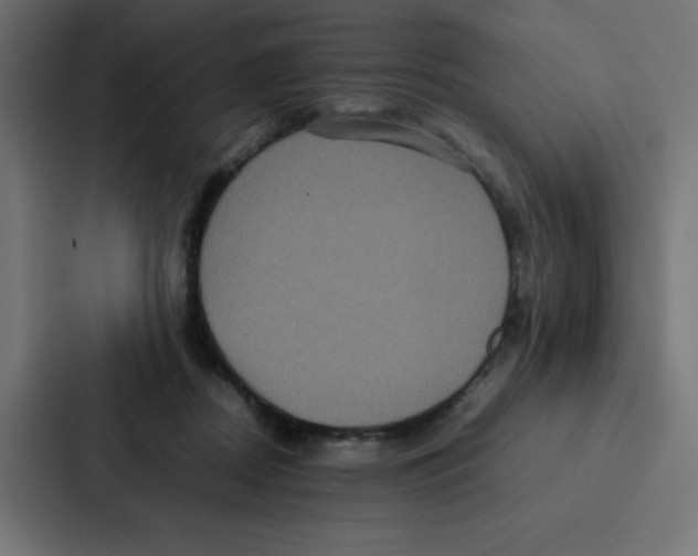 X0000087060362200705161017