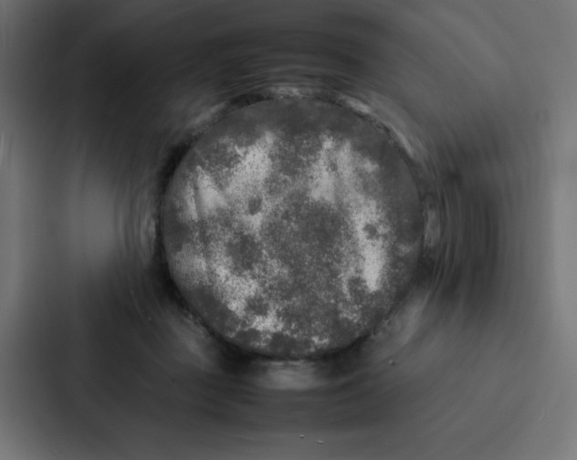 X0000087060363200705161017