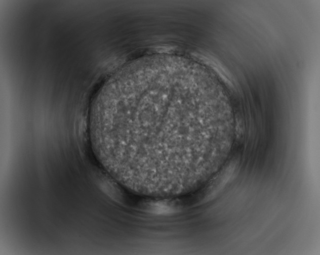 X0000087060365200705161017