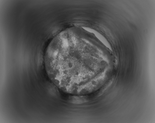 X0000087060367200705161017