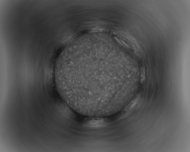 X0000087060369200705161017