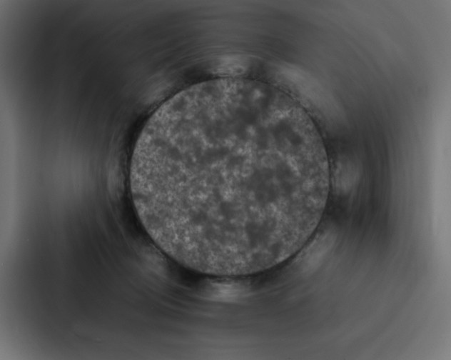 X0000087060370200705161017