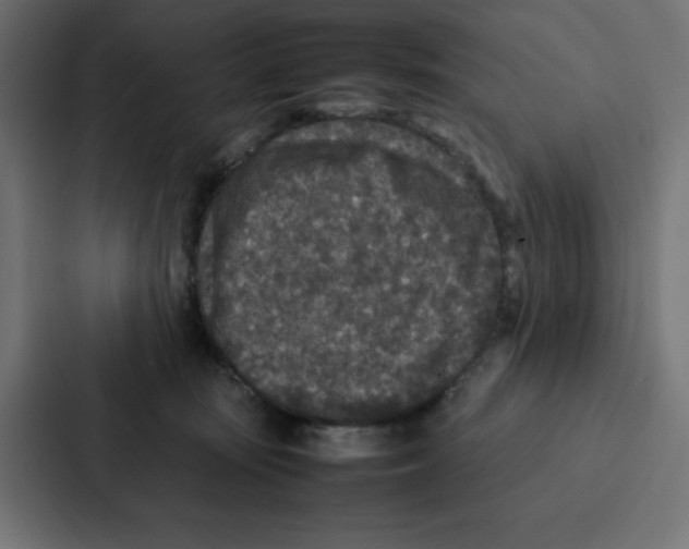 X0000087060371200705161017