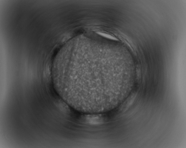 X0000087060373200705161017