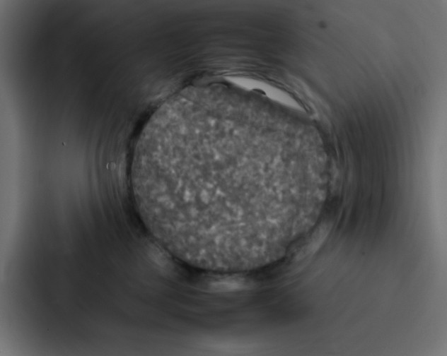 X0000087060377200705161017