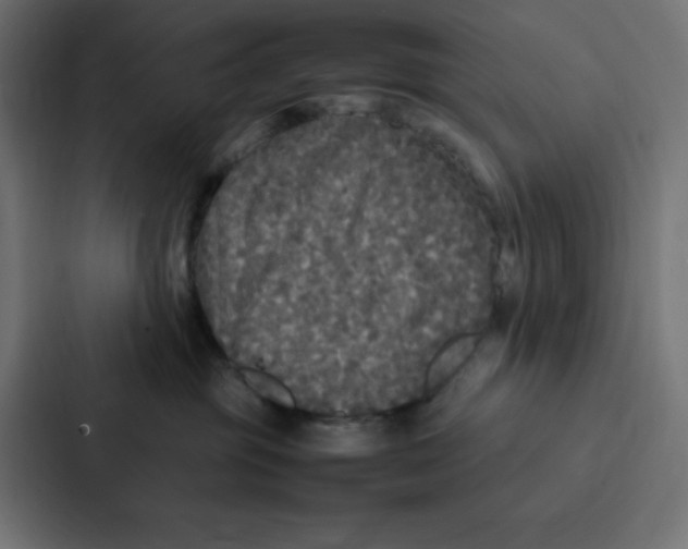 X0000087060381200705161017